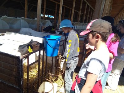Экскурсия на молочно-товарную ферму